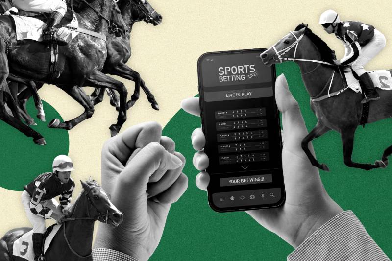 Chiến Thuật Cá Cược Đua Ngựa - Hiểu Đúng Để Thắng Lớn