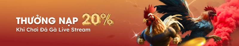 Top Các Khuyến Mãi Hấp Dẫn Tại Da88 Không Nên Bỏ Lỡ 5 Đá gà livestream – Thưởng ngay 288K mỗi ngày