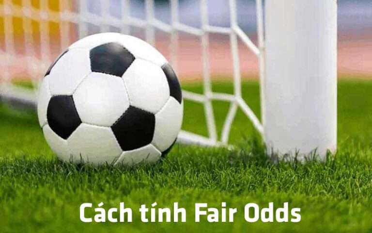 Đánh Giá Fair Odds Trong Cá Cược - Hiểu Đúng Để Không Bị “Dắt Mũi” 65 Danh Gia Fair Odds Trong Ca Cuoc Hieu Dung De Khong Bi Dat Mui