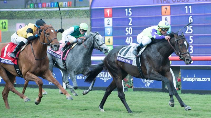 Chiến Thuật Cá Cược Đua Ngựa - Hiểu Đúng Để Thắng Lớn 1 Hiểu bản chất cá cược đua ngựa