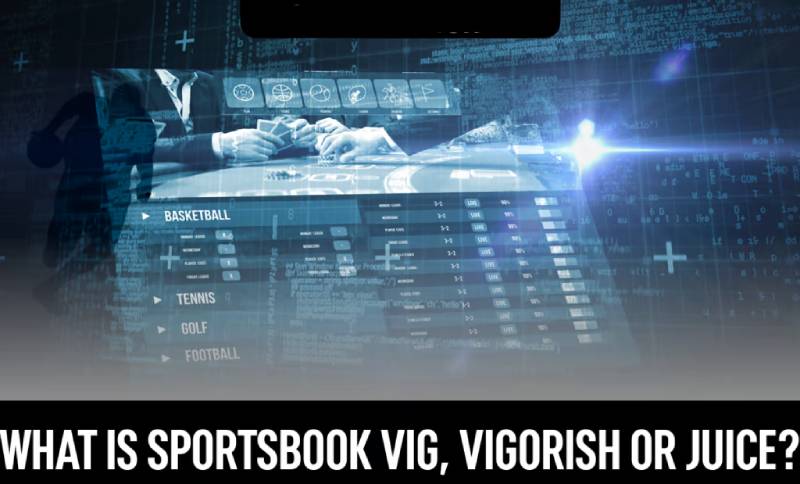 Hiểu Về Juice Và Vig Trong Kèo - Thực Chất Nhà Cái Ăn Tiền Từ Đâu 3 Vì sao nhà cái luôn thắng nhờ juice?